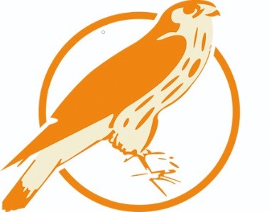 British Institute of Homeopathy International British Institute of Homeopathy International